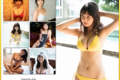bFIISf-0435